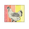 Chicken Daddy Chicken Farmer Gift