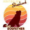 Australia Shepherd The Dogfather