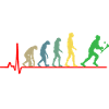 The Evolution of Hurling