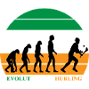 The Evolution of Hurling