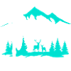 Trailrunning nature