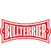 Bull Terrier Dog