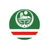 Tjetjenien gave Grozny Ramzan Kadyrov Noxchi