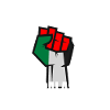 Free Palastine Tshirt Palestine