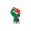 Free Palastine Tshirt Palestine