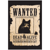Schrodinger's Cat