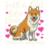 Chien islandais Spitz