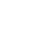 Never Walk alone Hund Pferd