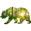 Bear environment