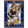 My shepherd is German