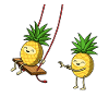 Swinging Pineapple Ananas cadeau