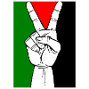 PALESTINE SOLIDARITY