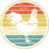 Rooster chicken chickens