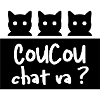 Coucou chat va ?
