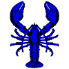 Blue lobster