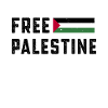 Vrije Palestijnse Gaza vlag Arabische vrijheid