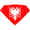 Albanian flag