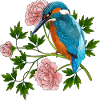Bunter Vogel
