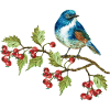 Bunter Vogel