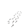 Hund - NEVER WALK ALONE, Gassi