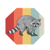 Raccoon Racoon animal gift ferret marten