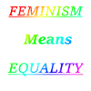 Feminism means equality