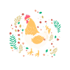 chicken