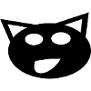 the black cat