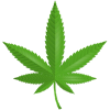 Cannabis Fleur