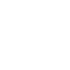 Les Rallizes Denudes - logo