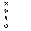 CHEMISE - Eat Sleep Woodpeckers Repeat