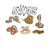 snakes