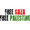 Gaza libre Palestine libre