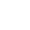 Shaman drum