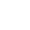 Chimney sweep vent sweep