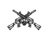 Black Guns Matter
