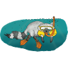 raccoon dive snorkeling diving