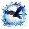 eagle,graffiti ,painting,eagle,flying,bird,blue