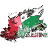 Palestine Flag Free G2