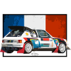 205 Swycar