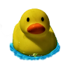 Nage