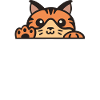Cryptocurrency Cat Coin