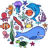 Fisch Blauwal Tier Lebewesen Tierwelt