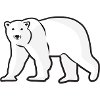 Eisbär
