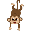 Drôle de singe