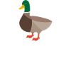 Hast du Brot?