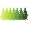 Trees Forest