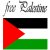 Palestine Design