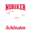 Pferd Noriker