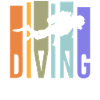 Divers dive